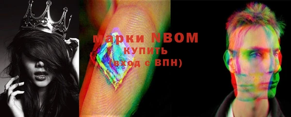 индика Абаза