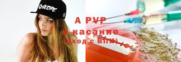 индика Абаза