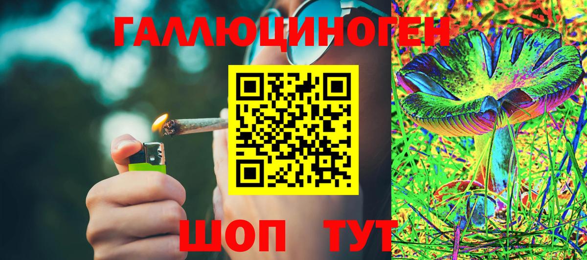 Елизово  Псилоцибиновые грибы GOLDEN TEACHER  Вход с VPN 