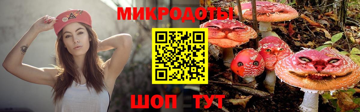 Галлюциногенные грибы GOLDEN TEACHER Елизово